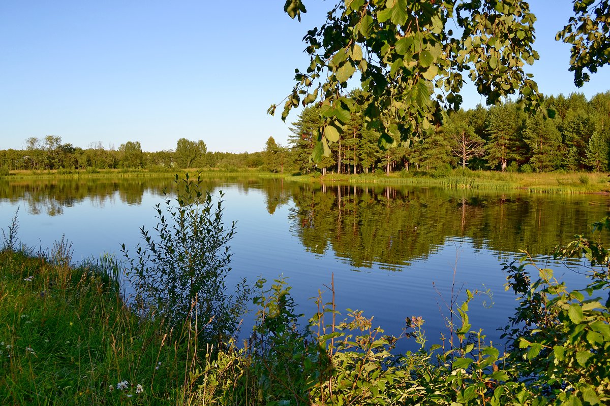 На озере - AndrewVK 