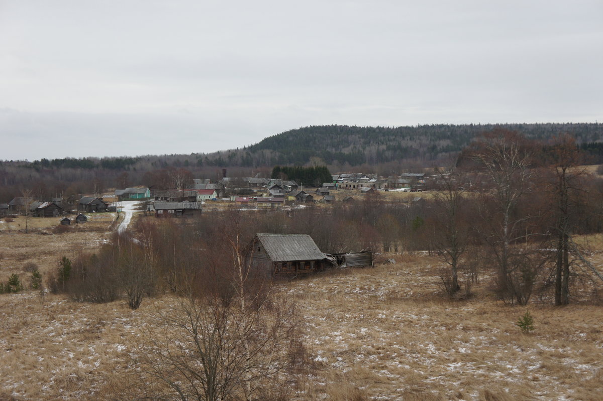 Вид с колокольни Рождественской церкви (1659 г.) в старинной д. Гимрека. - Елена Павлова (Смолова)