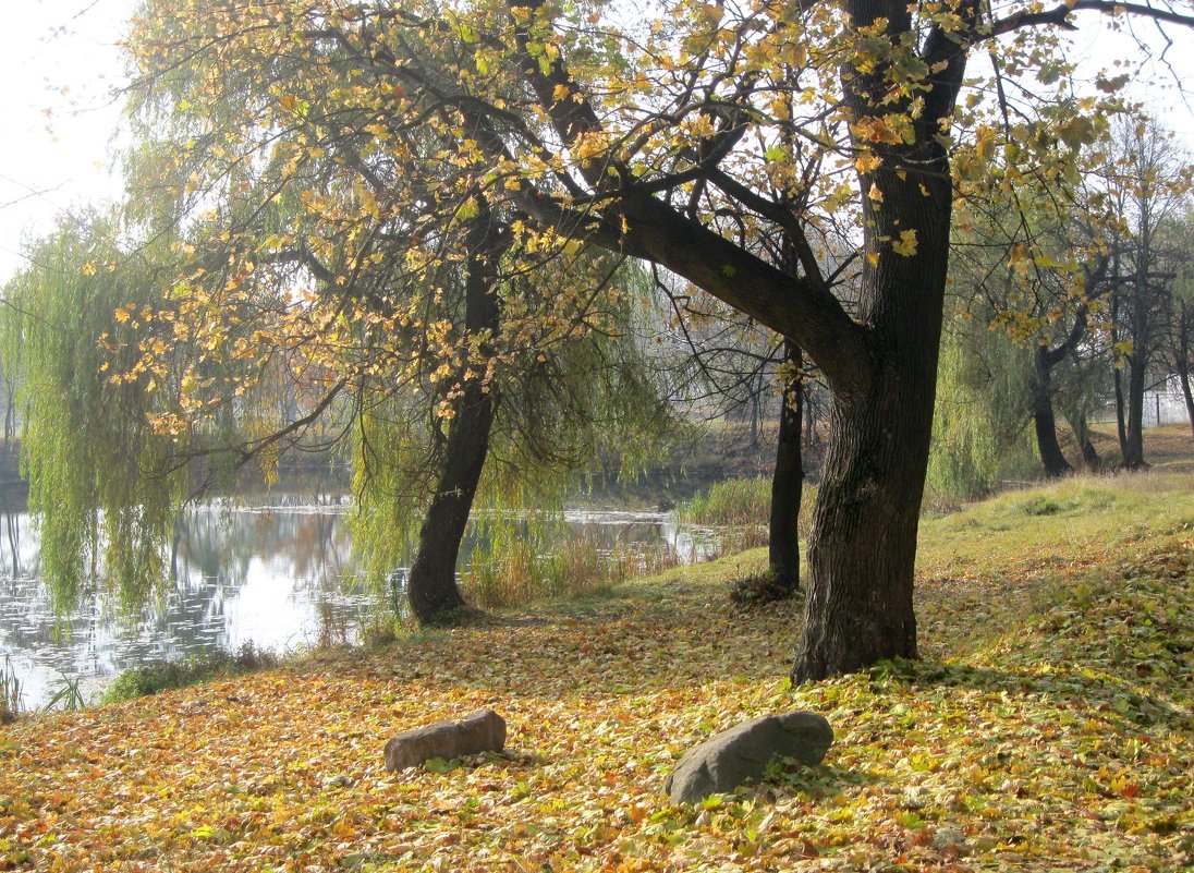 Возле пруда - Леонид Корейба