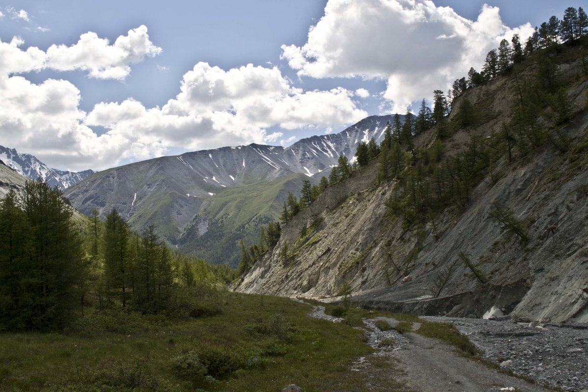 * - Анна Галицкая