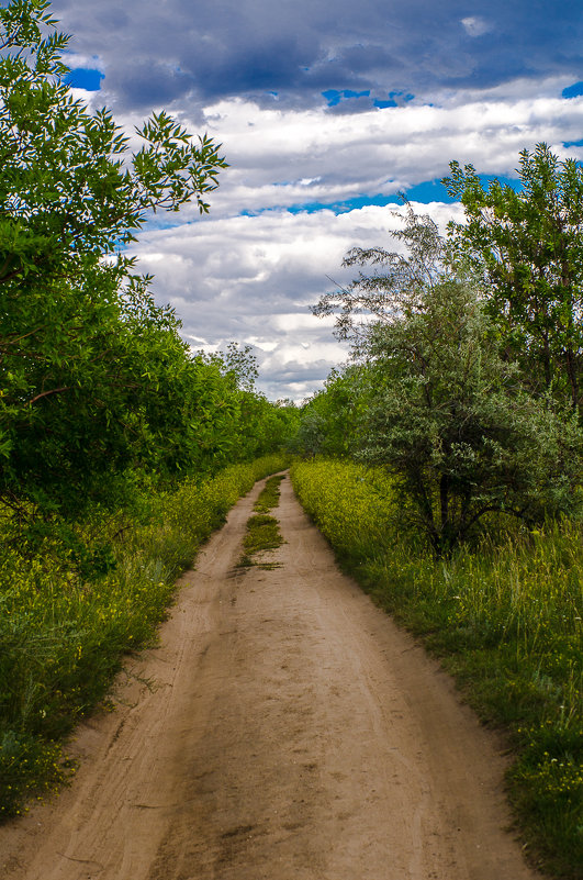 ... - Дмитрий Ломтев