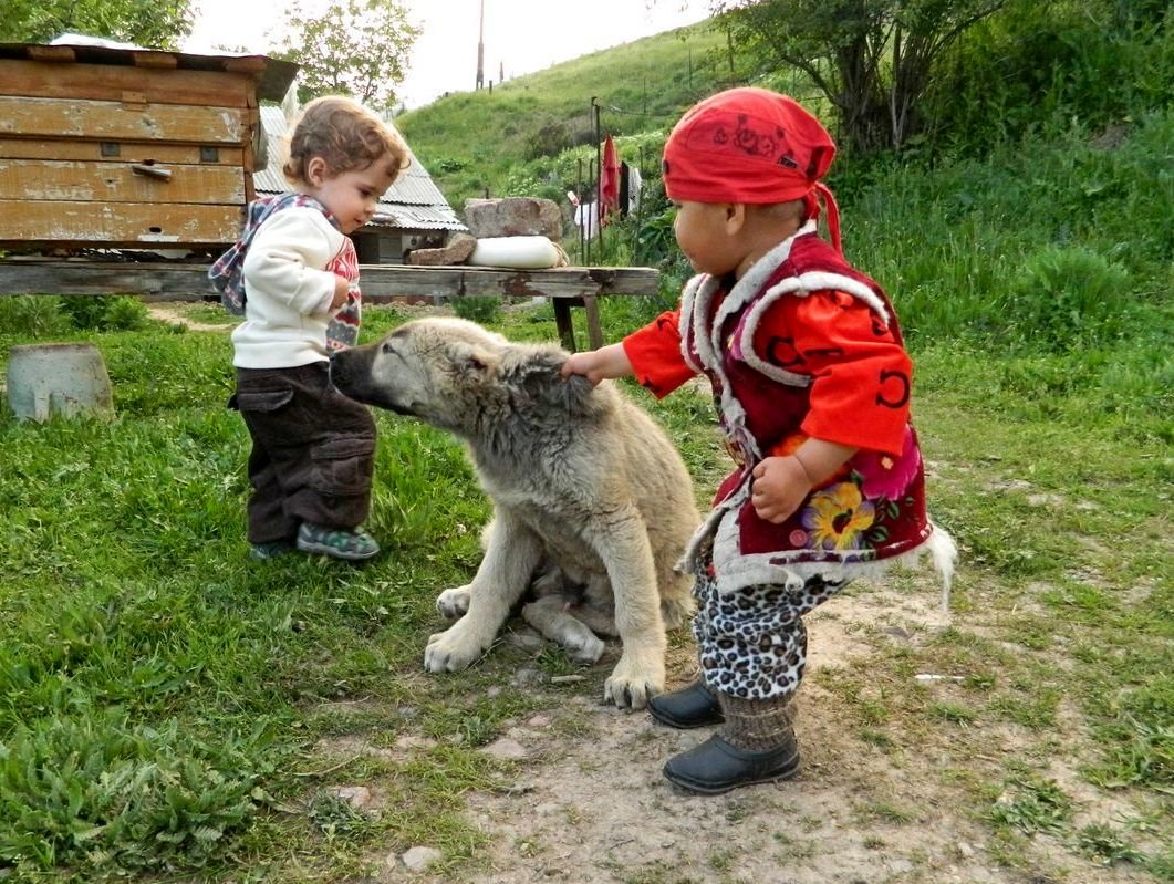 В ГОРАХ - Виктор Осипчук