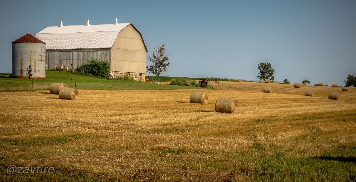 The Barn On A Field - Andy Zav