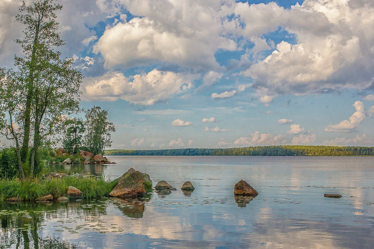 Выборг, парк Монрепо - Оксана Горева