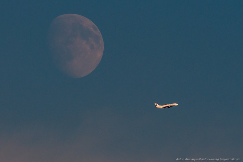 вечер, самолет, луна ... - Антон Афанасьев