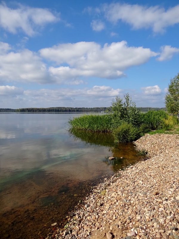 по берегу Волги... - Валентина. .