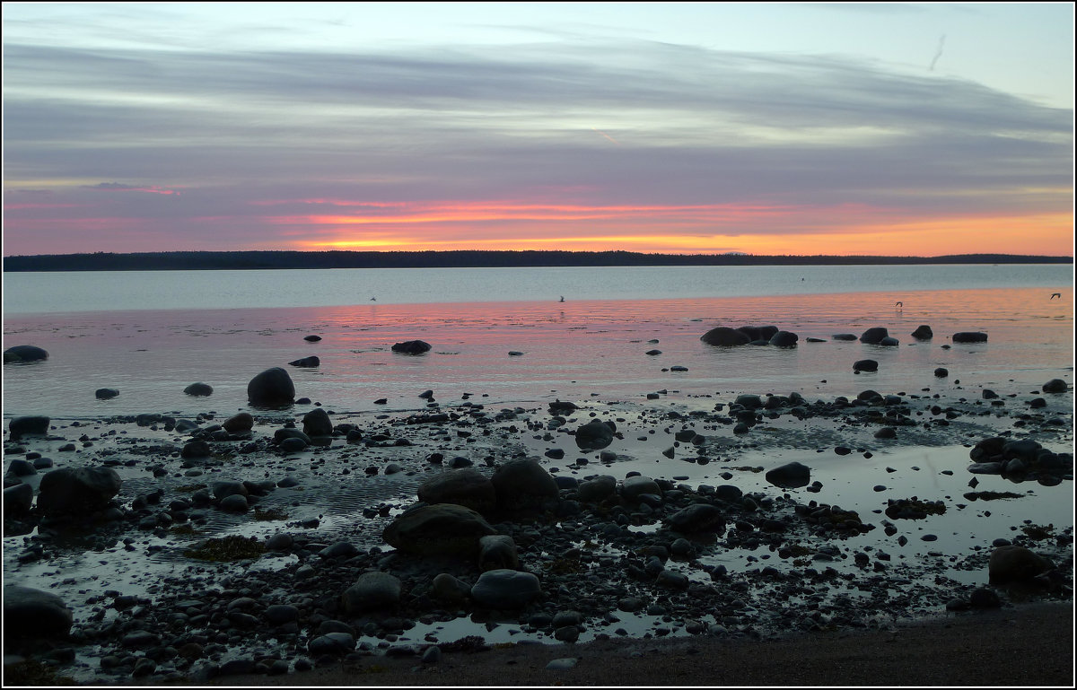 Отлив *** Low tide - Александр Борисов