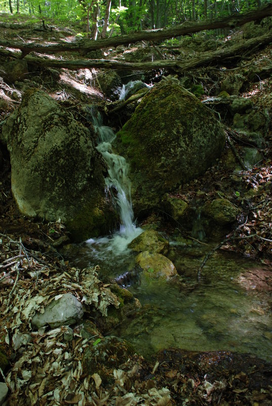 Вода и камни точит. - Yoris2012 Lp.,by >hbq/