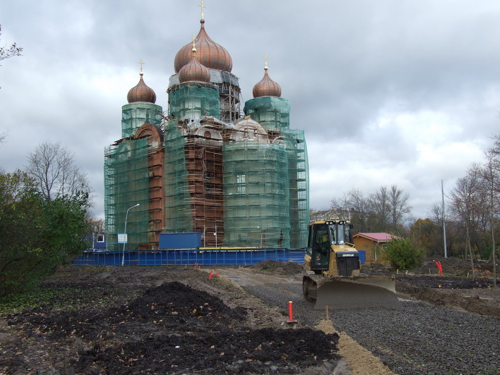 Возрождение - Александр Петров