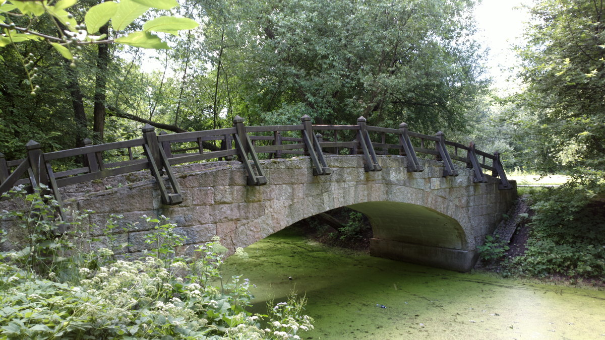Мост в Екатерингофском парке - Эльф ```````