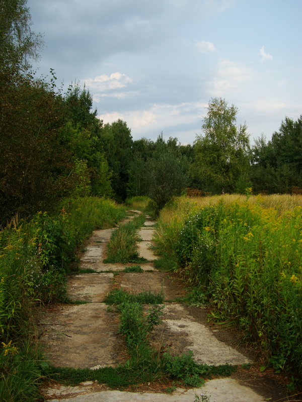 Будни парка DSC07395 - Андрей Лукьянов