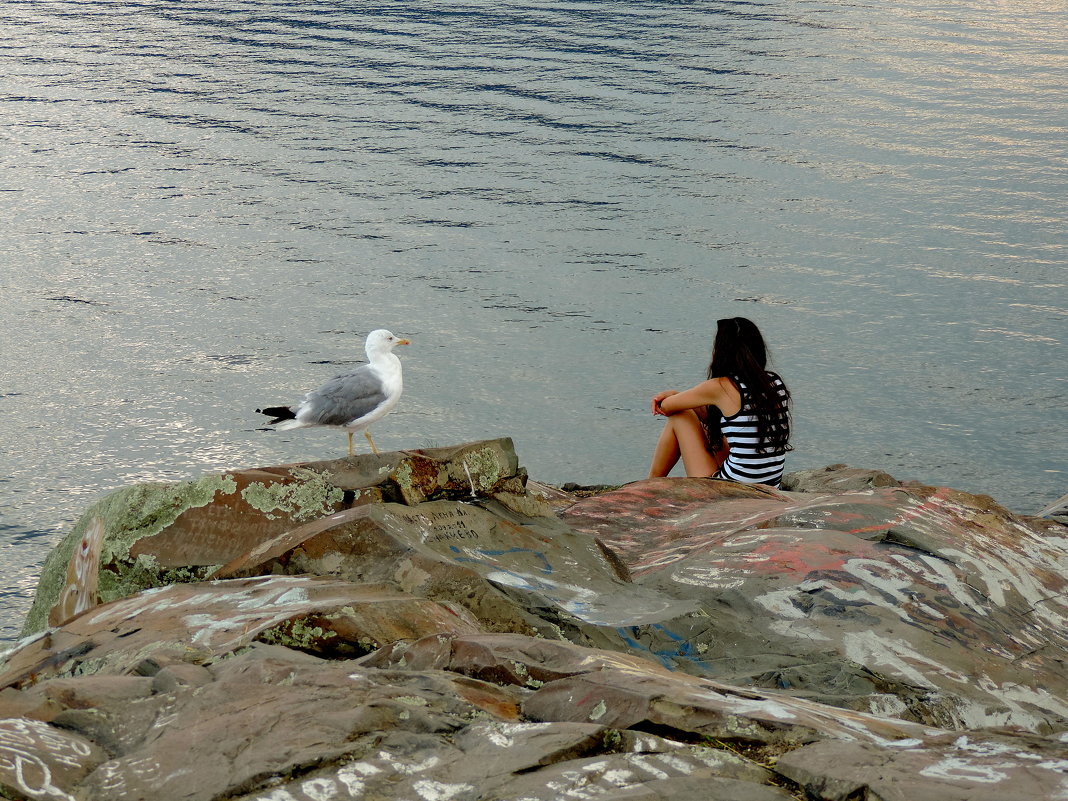 Чайка, девушка и море... - BEk-AS 62