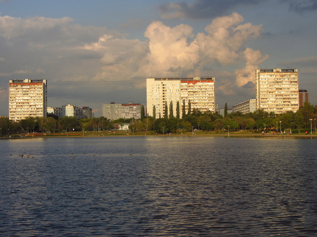 Летний вечер на пруду IMG_4701 - Андрей Лукьянов