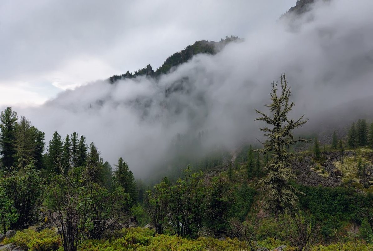 Туман после дождя в Восточных Саянах - Виктор Никитин