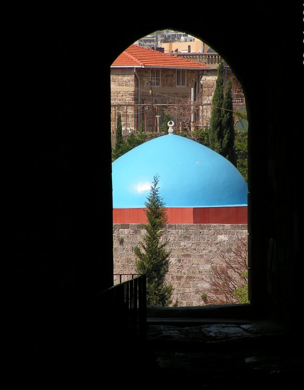 Голубая мечеть - Елена Даньшина