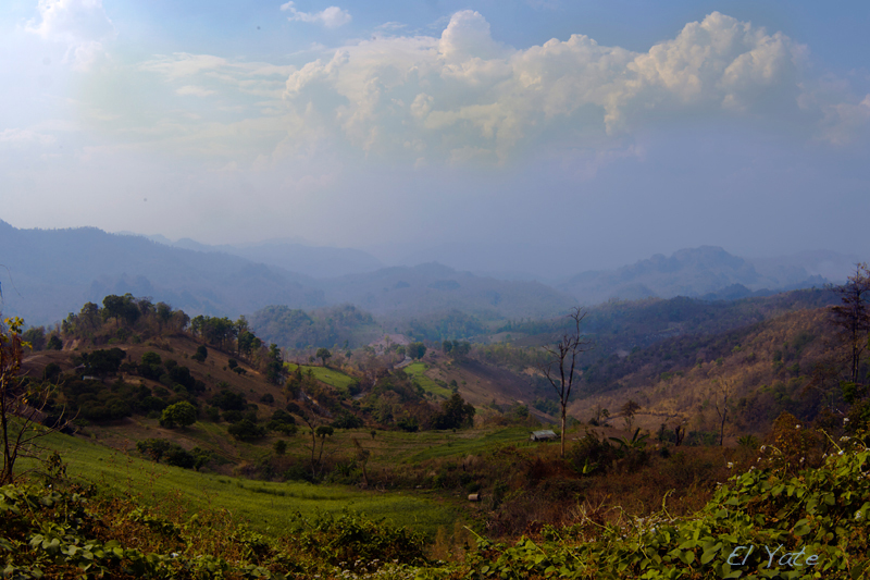 Долина в провинции Чианг Рай - Мария Майданова