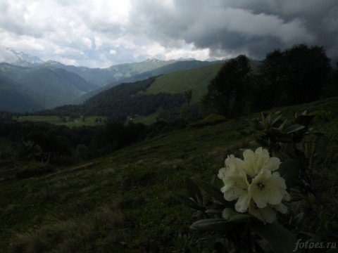 Альпийские луга Абхазии. fotoes.ru - Станислав Польский