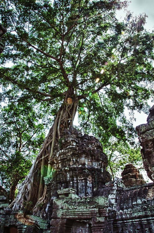 Inspiring Asia: Cambodia - Юля Тарасенко