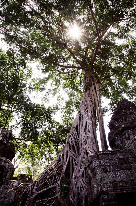 Inspiring Asia: Cambodia - Юля Тарасенко