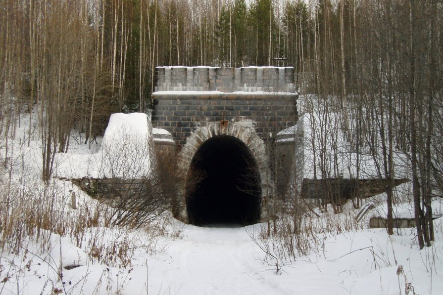 Таинственный тоннель - Сергей Комков