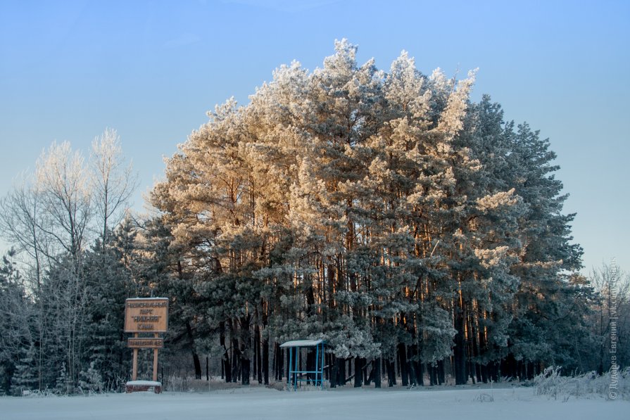 Национальный парк - Евгений Дударев
