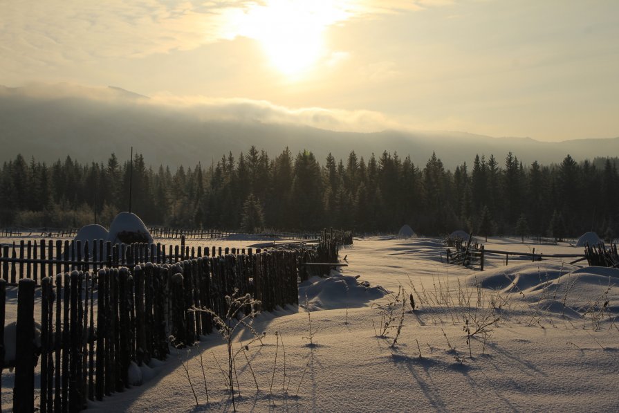 Зимний пейзаж - Светлана Телегина