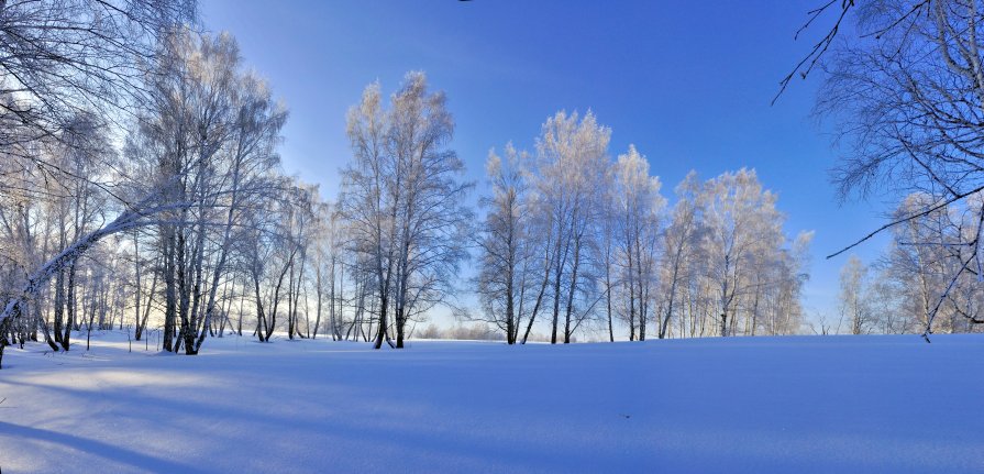 Панорама - Николай Мальцев