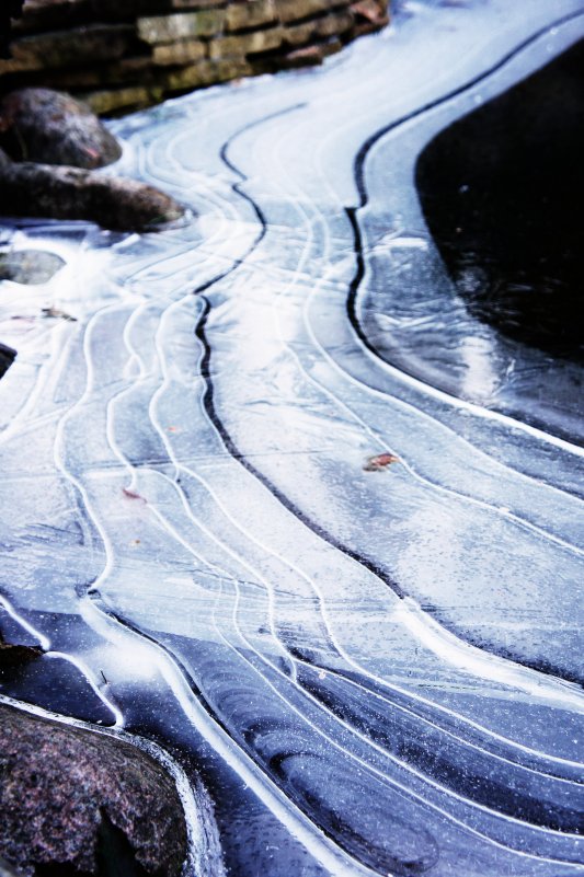 Зеркальная вода - Дина Назарова