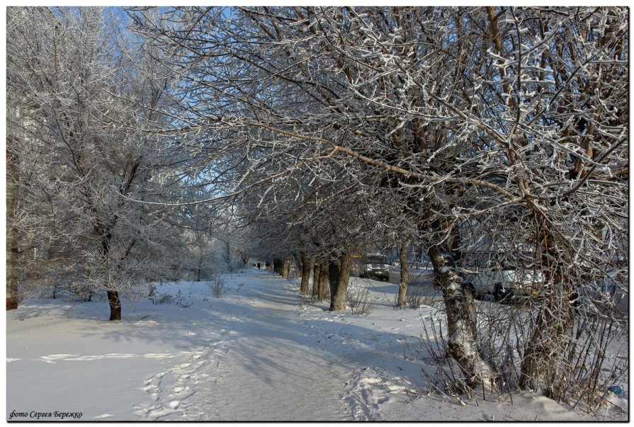 Декабрь в городе - Сергей Бережко