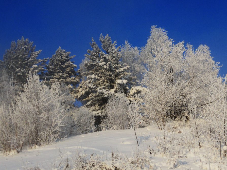 -39,9 - Лариса Смолина