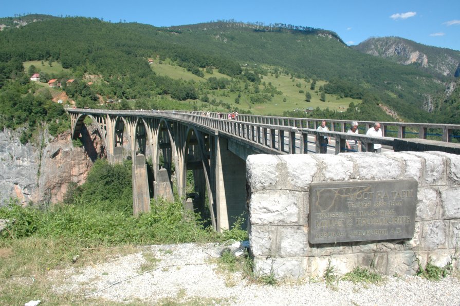 Мост на Тари - Алексей Деменев