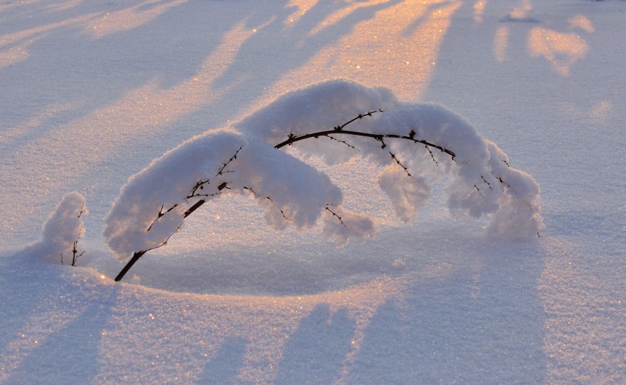 Под тяжестью снега - Николай Мальцев