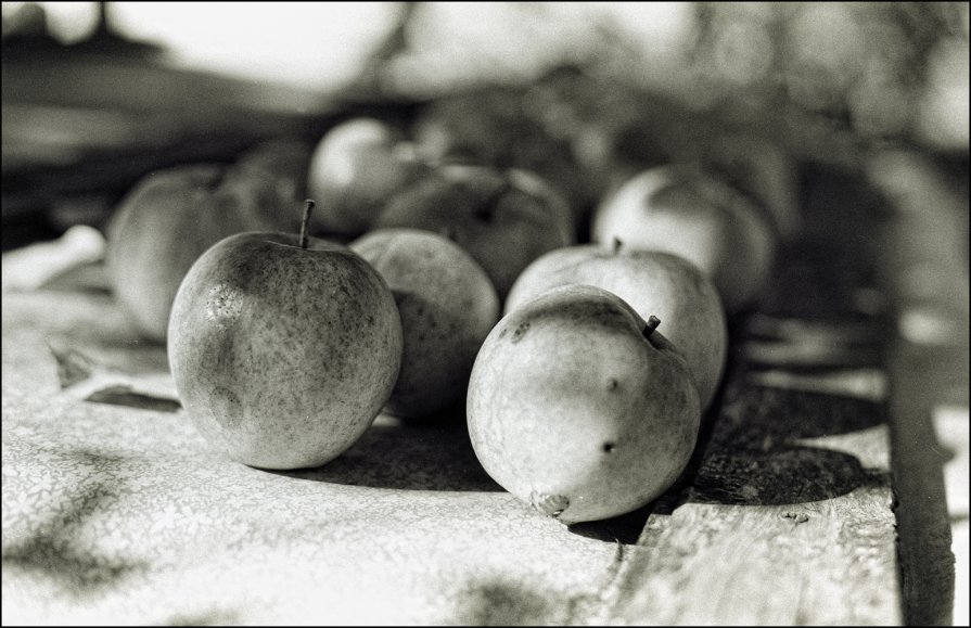 Яблочки молодильные - Alexander Reiz