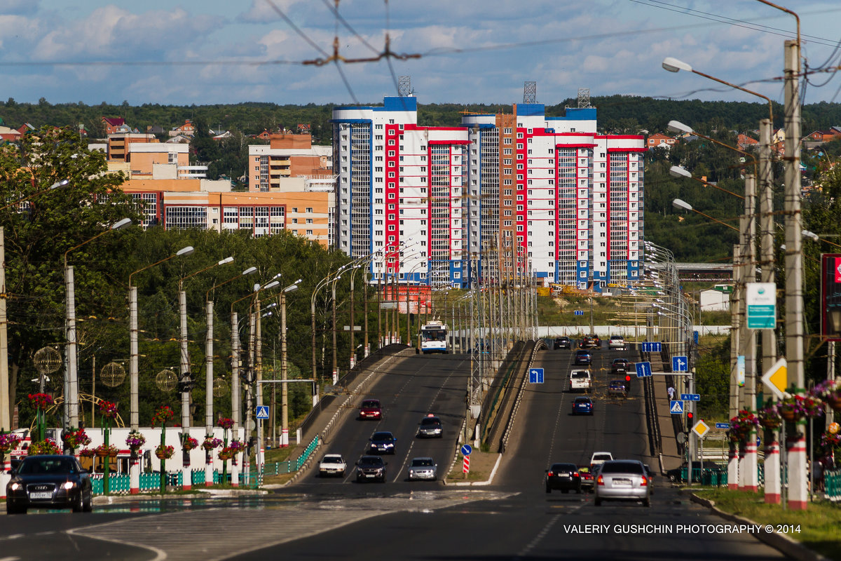 Мост - Валерий Гущин