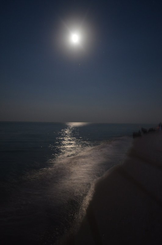 Море,ночь,луна - Елена Титаренко