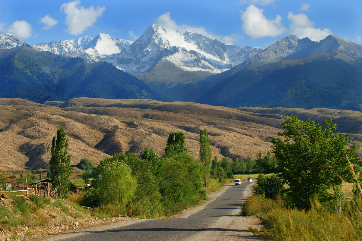 Тянь-Шань  Киргизия - Рыжик 