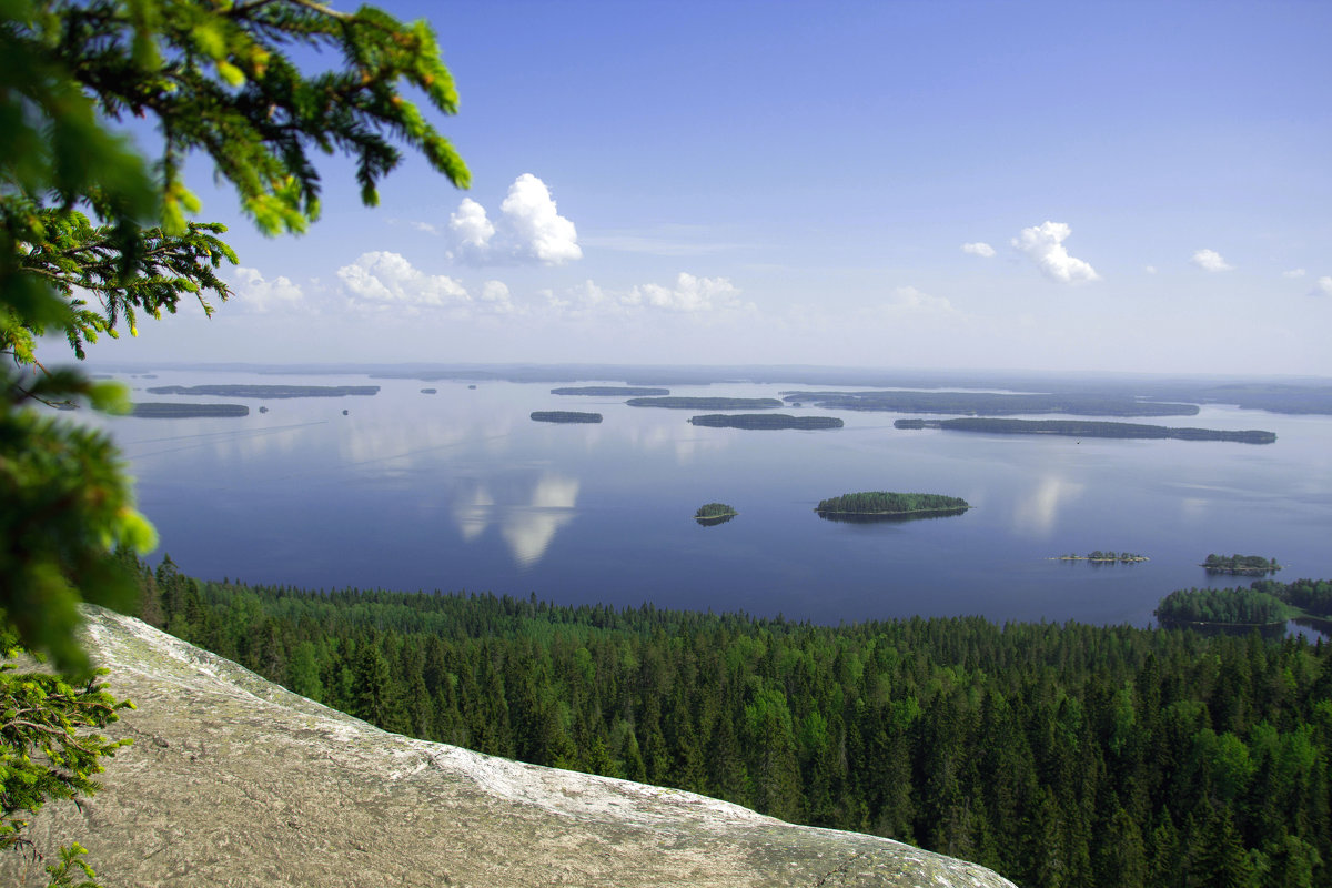 Красочный скучный пейзаж. Национальный парк Коли(Финляндия) - Евгения Л
