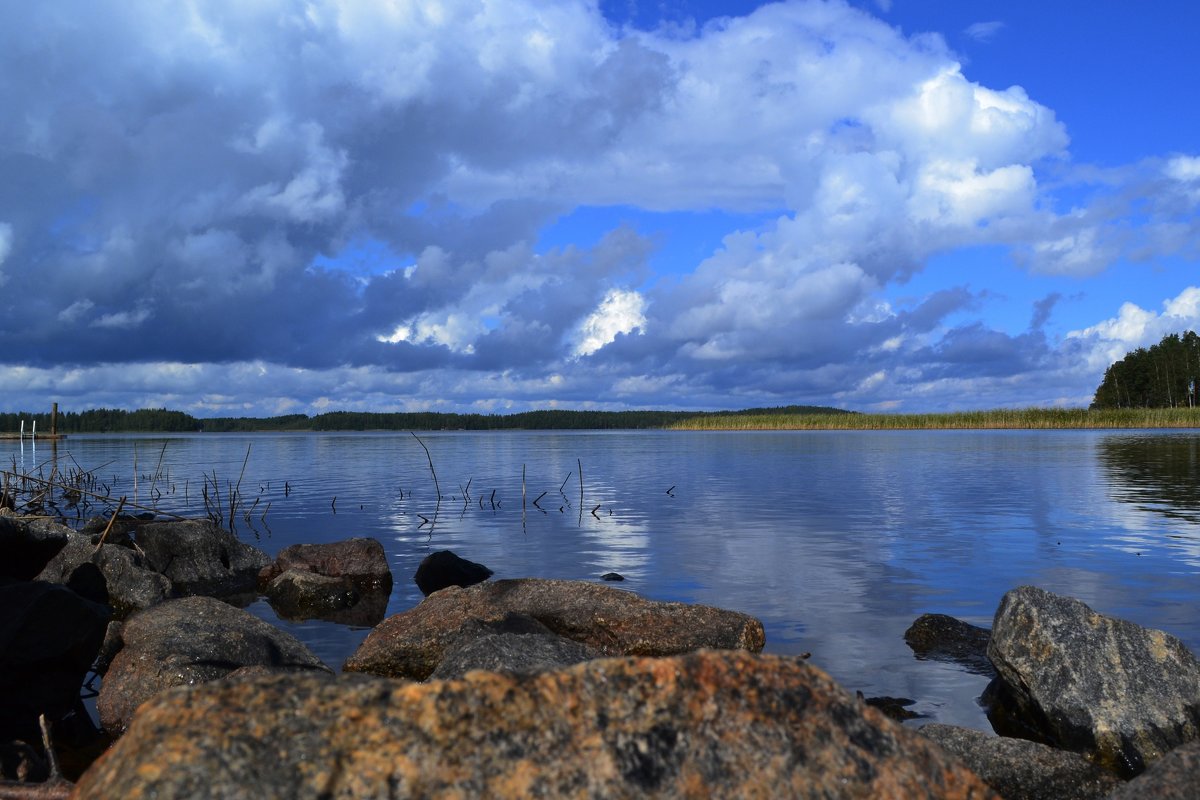 В окрестностях Лаппеенранты - Виктория Титова