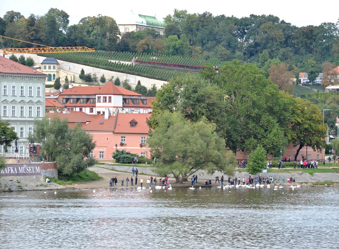 Прага - zhanna-zakutnaya З.