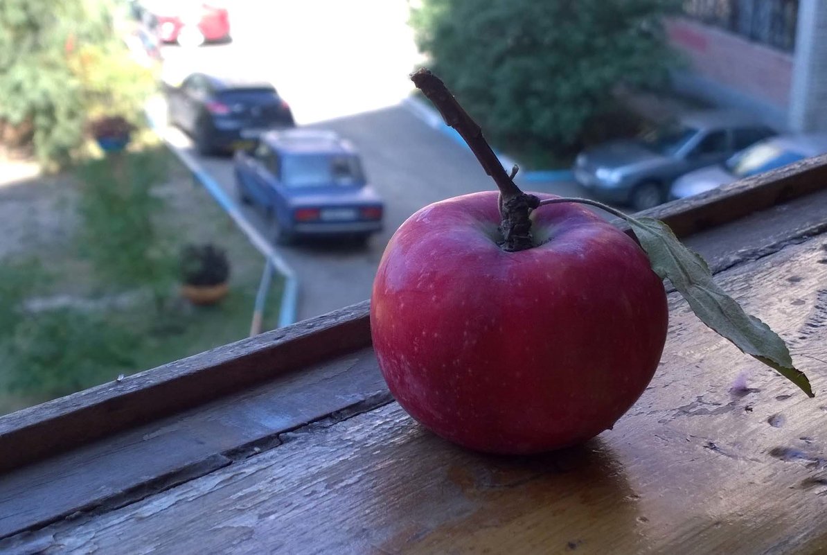 Яблоко на балконе - Владимир Нев