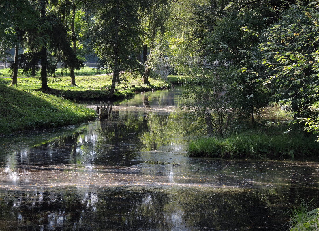 молочные реки (Водный лабиринт в Гатчинском парке) - sv.kaschuk 