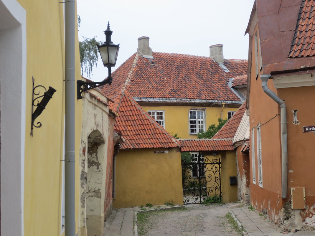 улочка старого Таллина - Елена 