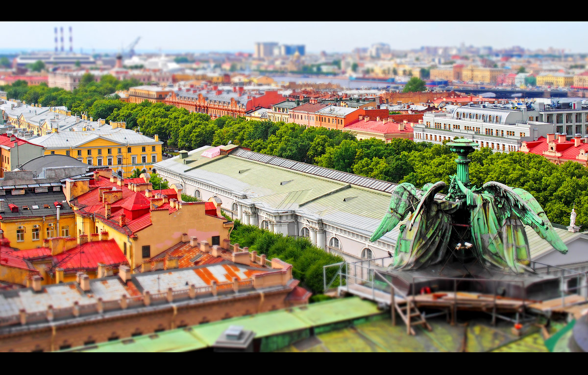 В Санкт-Петербурге - Андрей Краснолуцкий