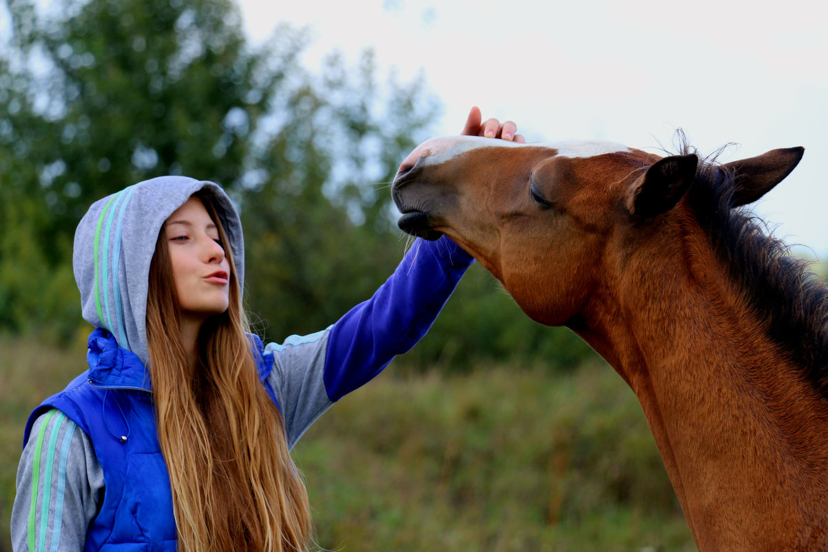 Лошадь - Nata Potapova