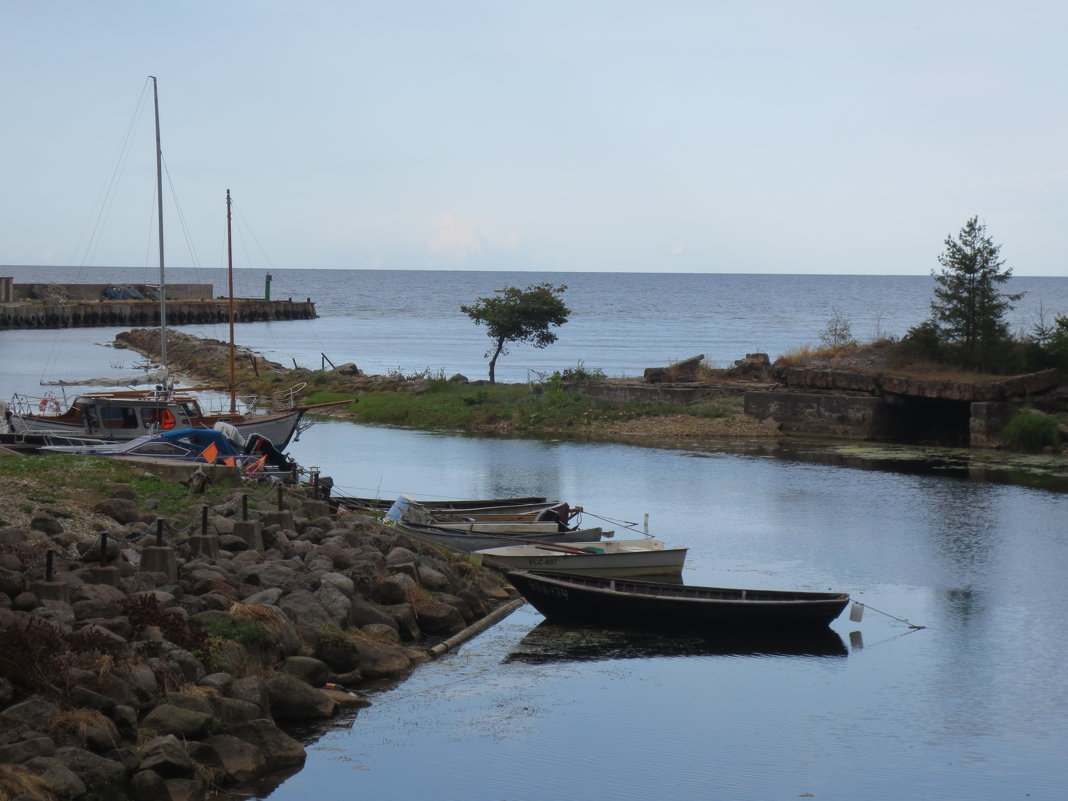 впадение реки в море - Елена 