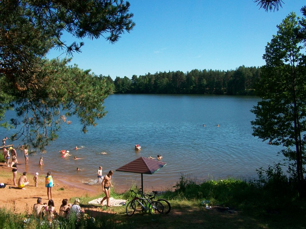 Купальня на Зелёном озере. посёлок Будогощь - Виктор Елисеев