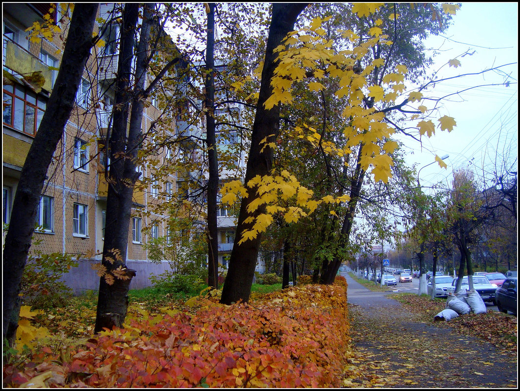 по городу осень... - Галина Флора