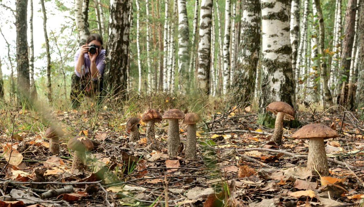 Мачеха с голым задом собирает грибы фото