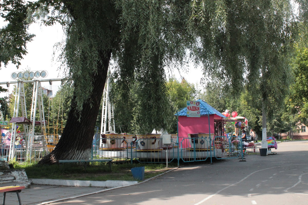 Ива в городском саду. - Олег Афанасьевич Сергеев