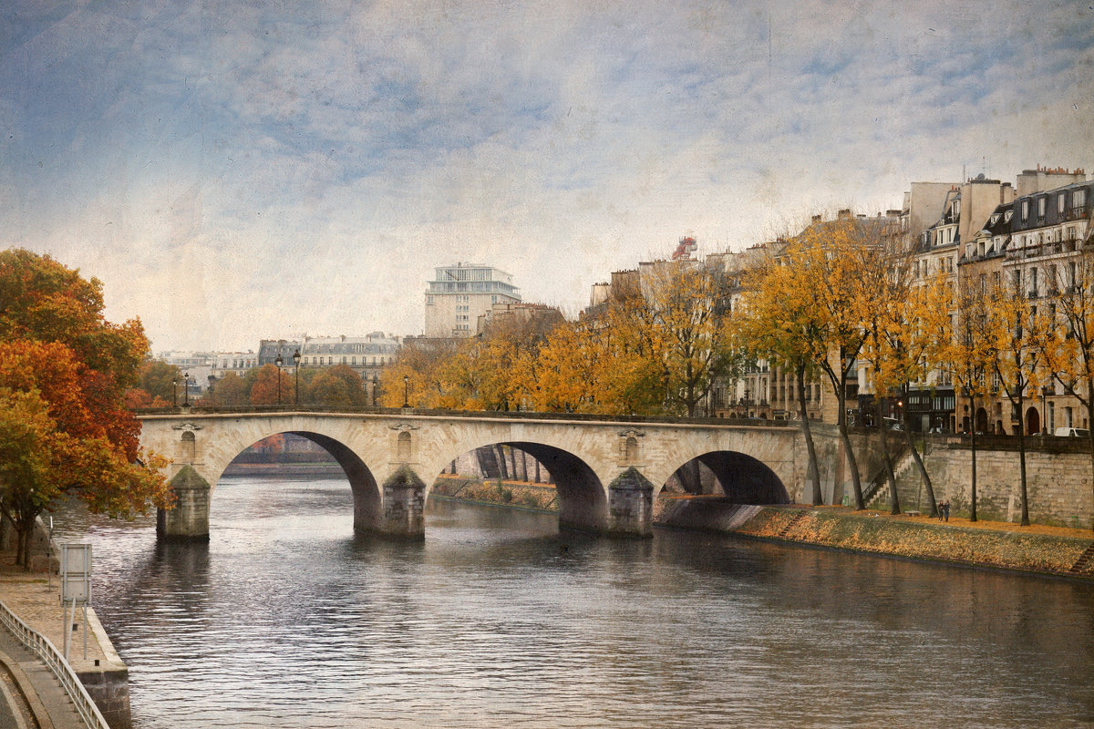 Парижская осень. - lady-viola2014 -